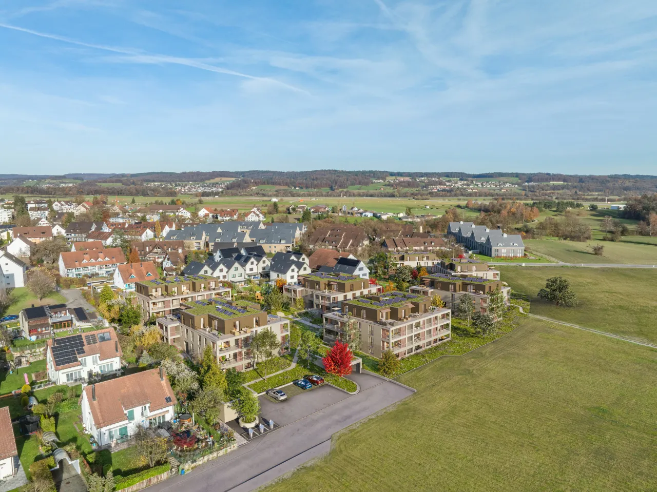 Bird's-Eye View