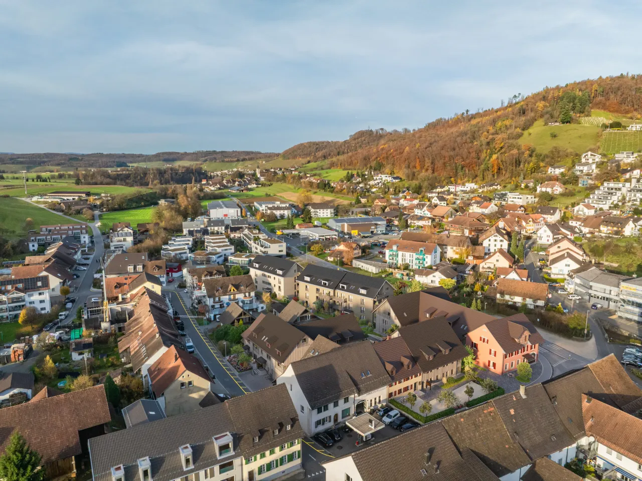 Bird's-Eye View