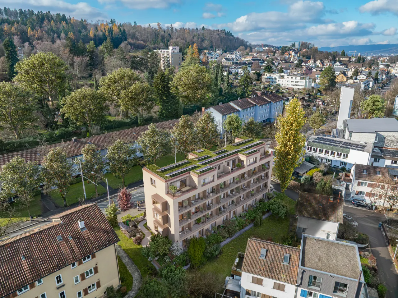 Bird's-Eye View