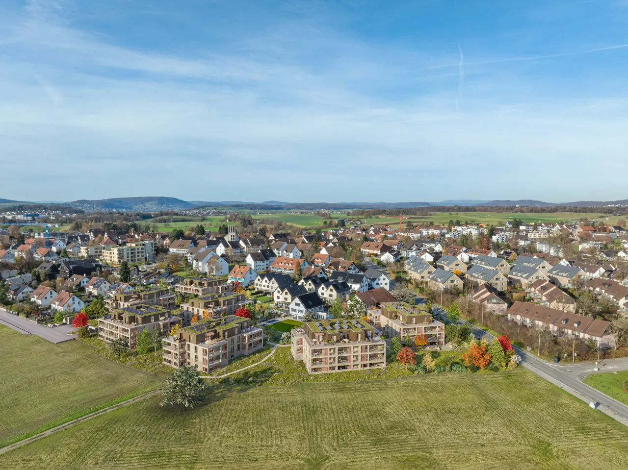 Bird's-Eye View