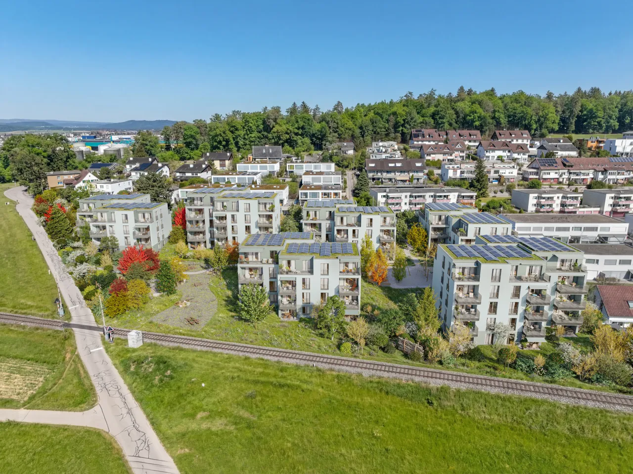Bird's-Eye View